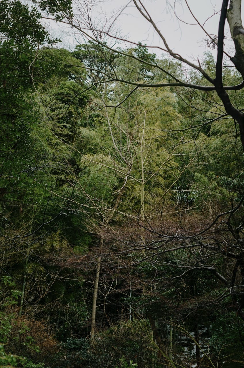 Превью Kanazawa 2024